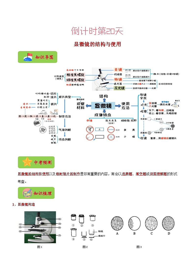 生物(一)-2023年中考考前20天终极冲刺攻略(解析版)第3页