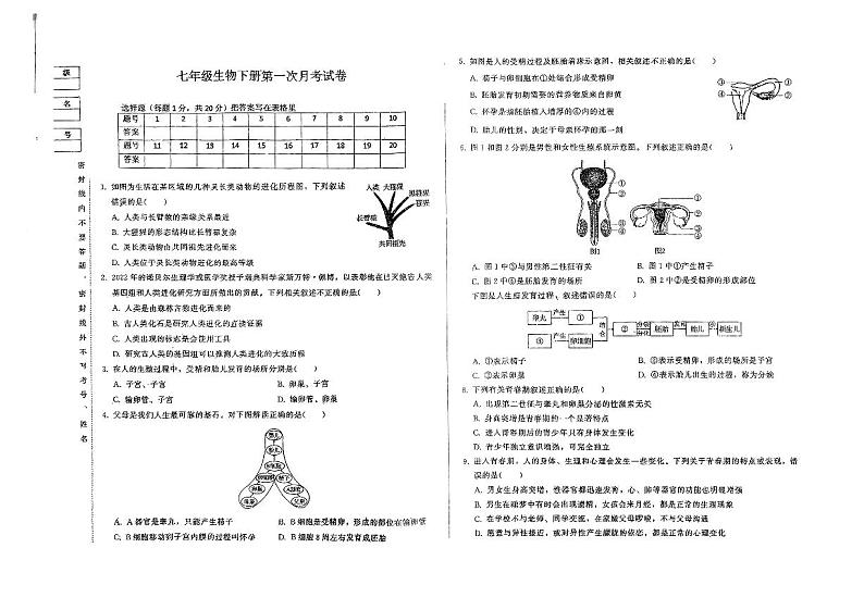 吉林省长春市九台区城子街中心学校2023-2024学年七年级下学期3月月考生物试题01