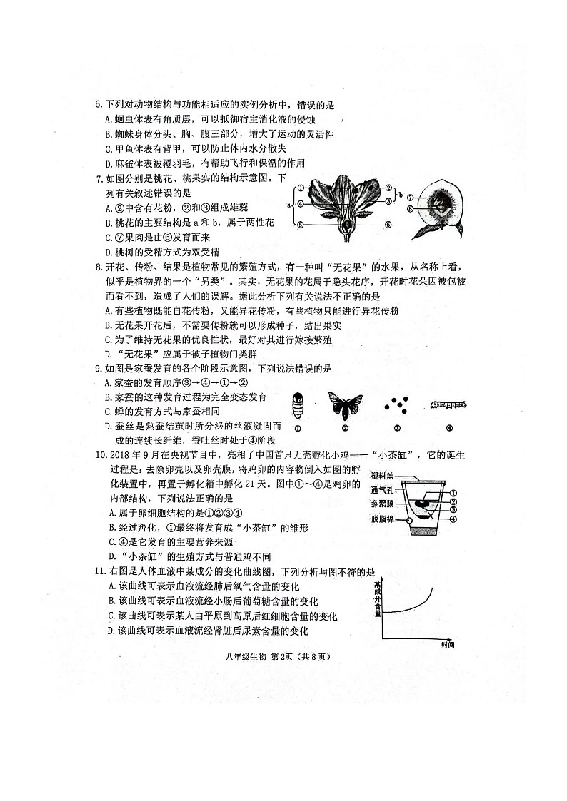 山东省潍坊市高密市2023-2024学年八年级下学期3月月考生物试题第2页