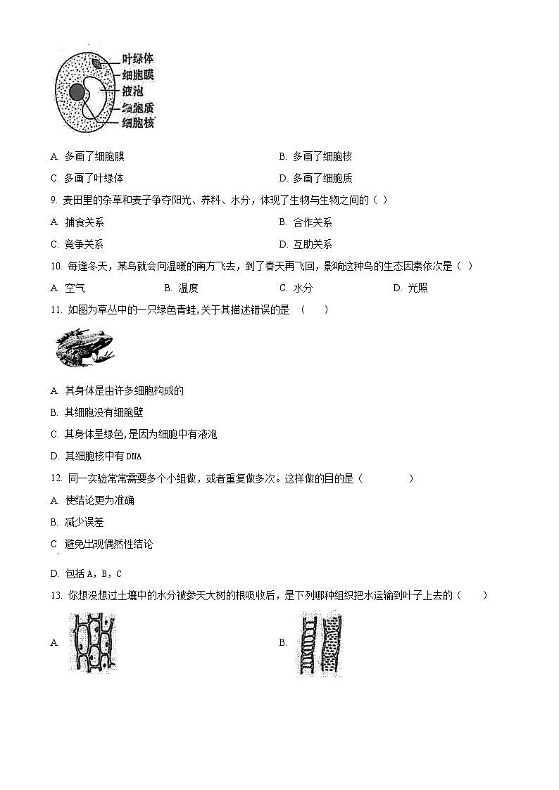 精品解析:广东省湛江市雷州市2023-2024学年七年级上学期期末生物试题(原卷版)第2页