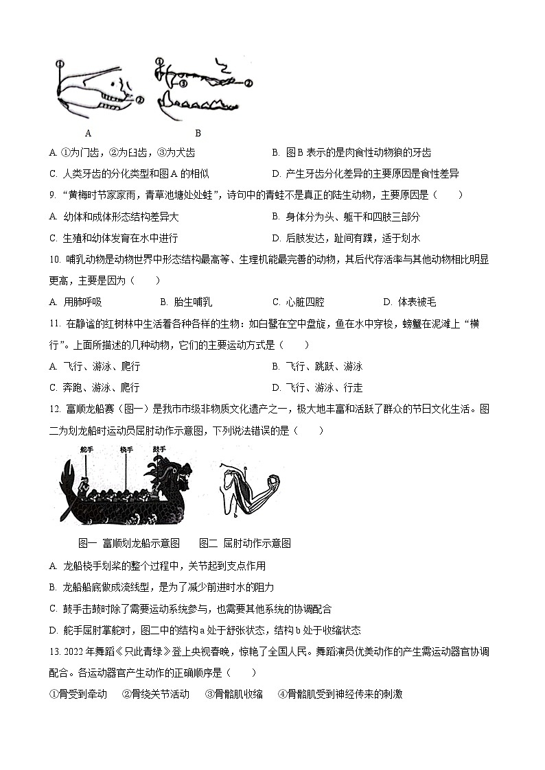 精品解析:四川省自贡市2023-2024学年八年级上学期期末生物试题(原卷版)第2页