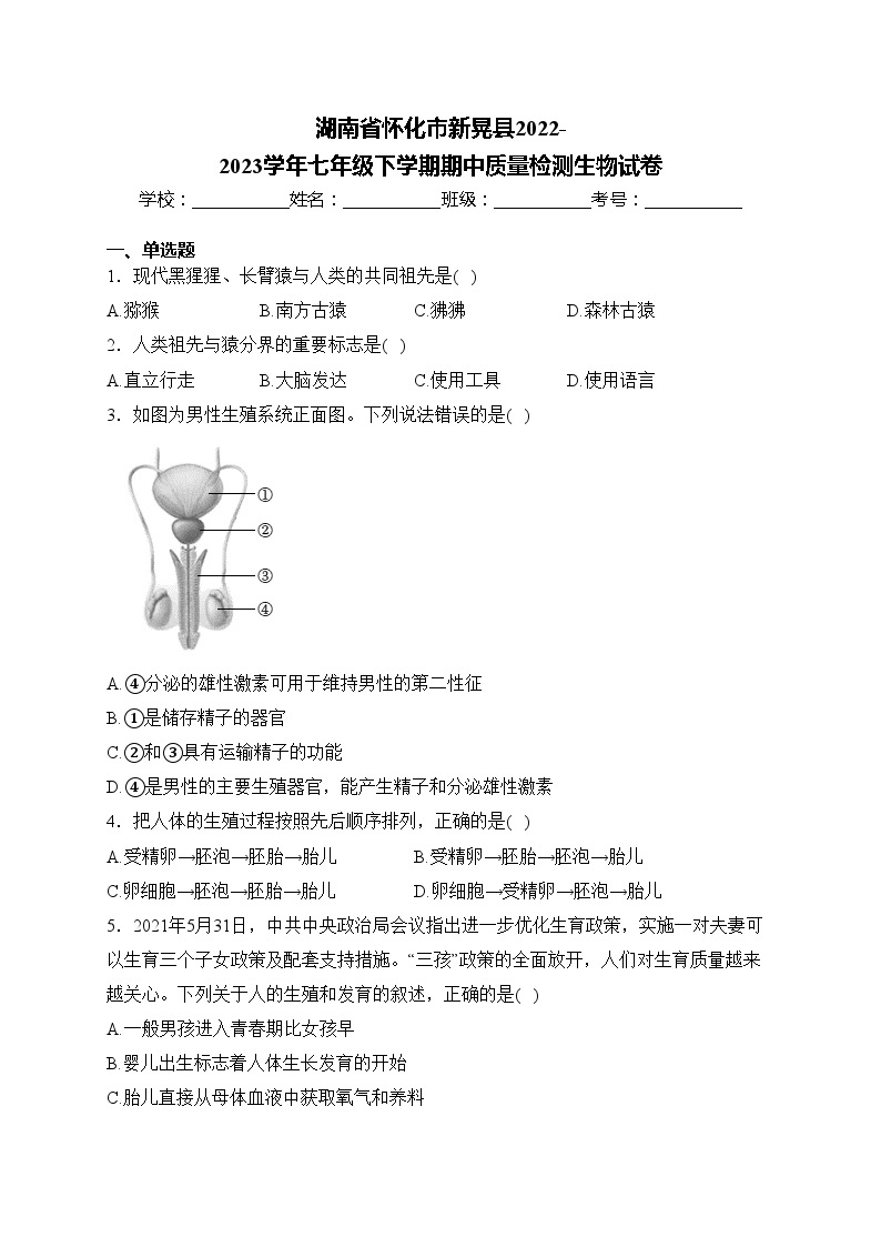 湖南省怀化市新晃县2022-2023学年七年级下学期期中质量检测生物试卷(含答案)01