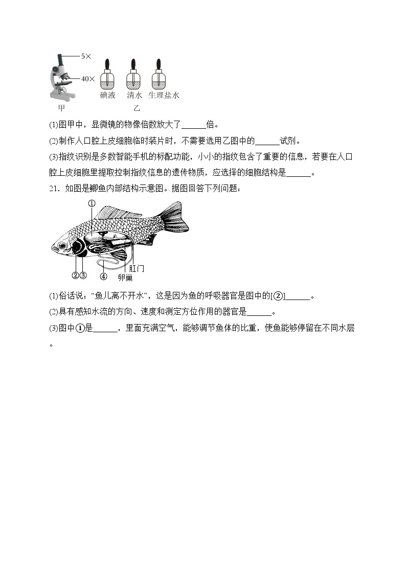 江苏省扬州市宝应县2022-2023学年七年级下学期期中测试生物试卷(含答案)03