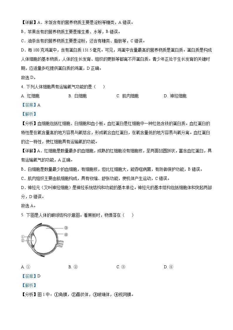 2023年福建省中考生物真题（含解析）02