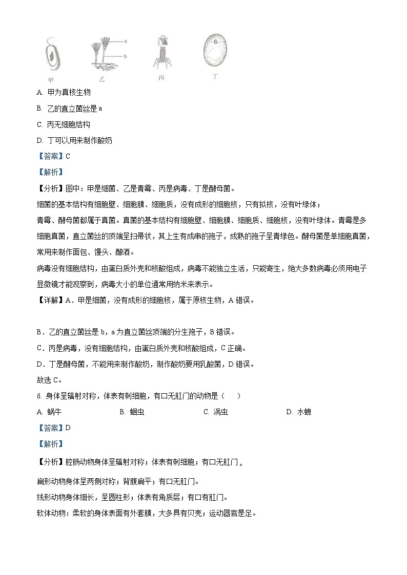 2023年吉林省中考生物真题(含解析)03