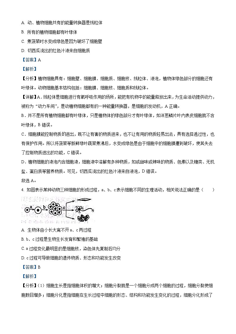 2023年山东省滨州市中考生物真题(含解析)03
