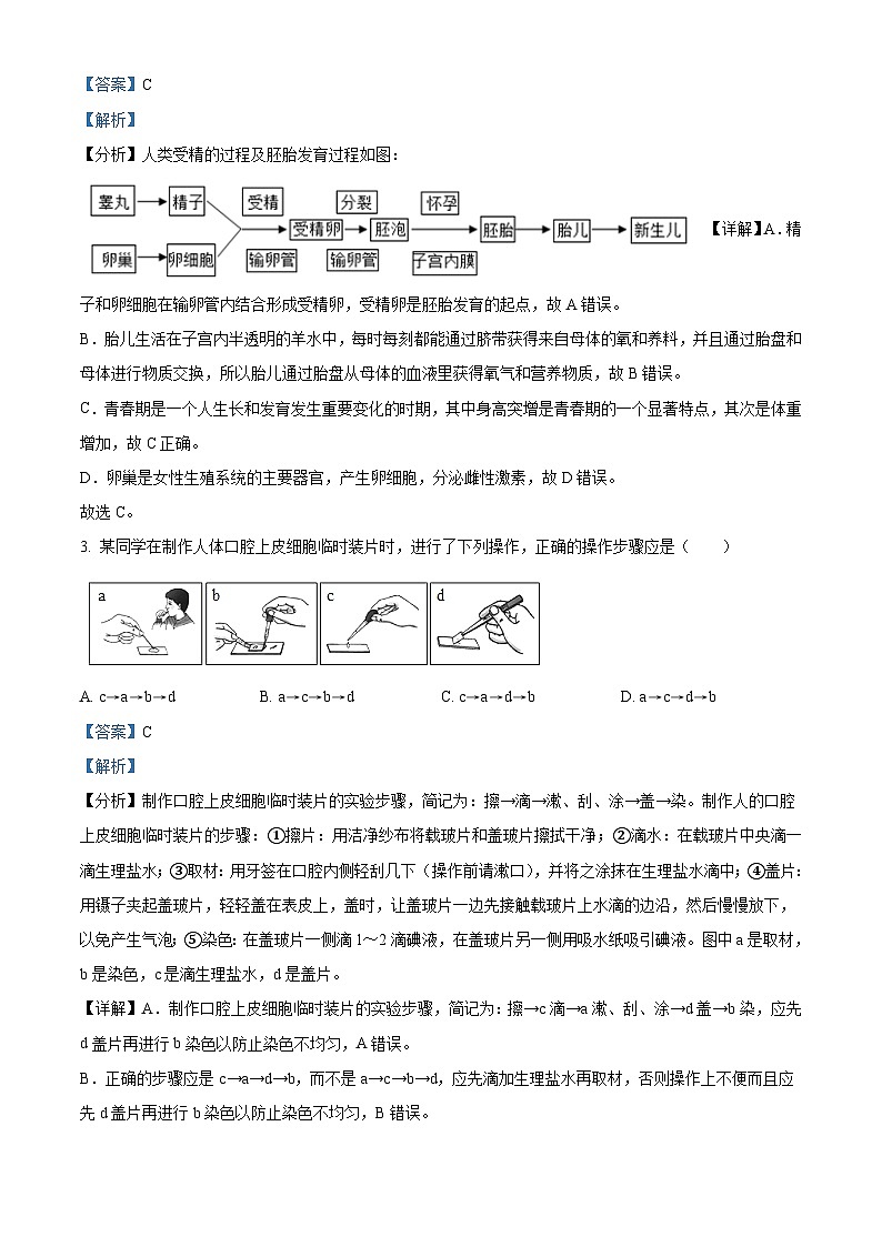 2023年四川省广安市中考生物真题(含解析)02