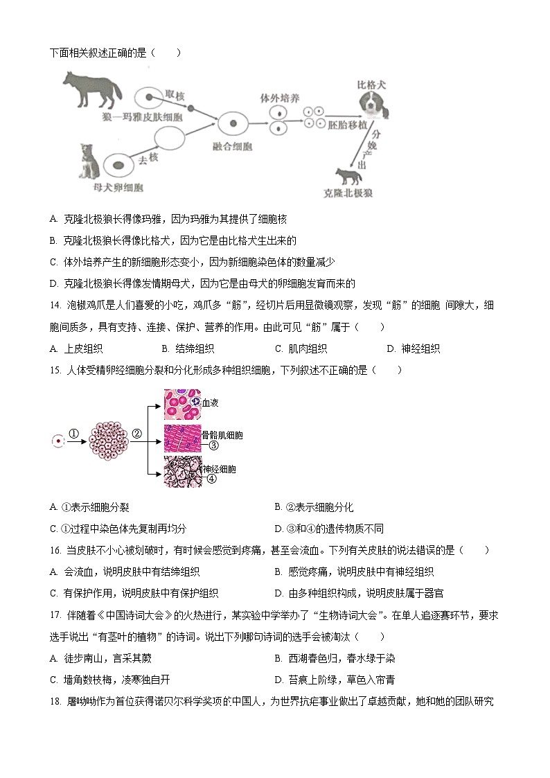 精品解析:四川省自贡市2023-2024学年七年级上学期期末生物试题(原卷版)第3页
