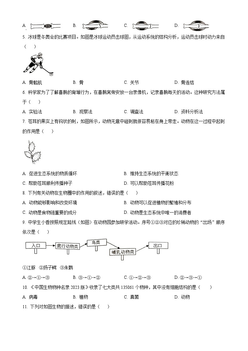 精品解析:广东省珠海市香洲区2023-2024学年八年级上学期期末生物试题(原卷版)第2页