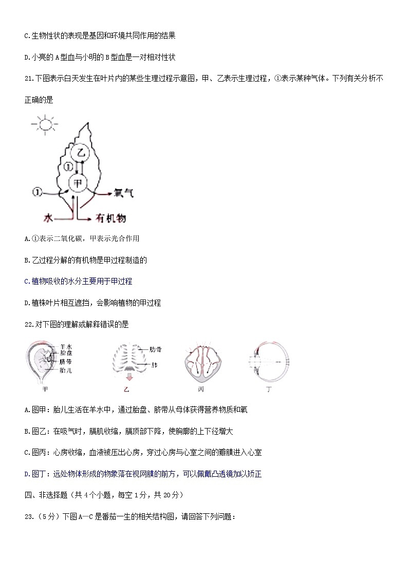 【全套精品专题】初中生物复习专题精讲 湖北省黄冈市中考生物模拟试题(word版,含答案)第3页