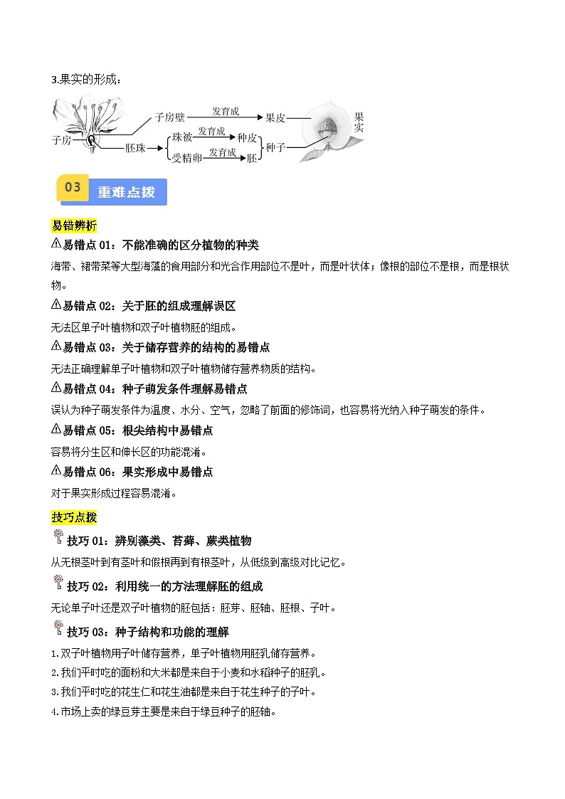专题04 绿色开花植物的一生(解析版)第3页