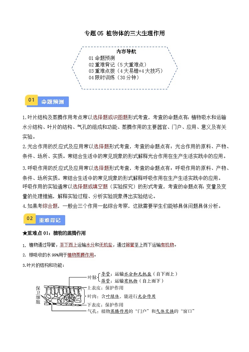 专题05 植物体的三大生理作用(解析版)第1页
