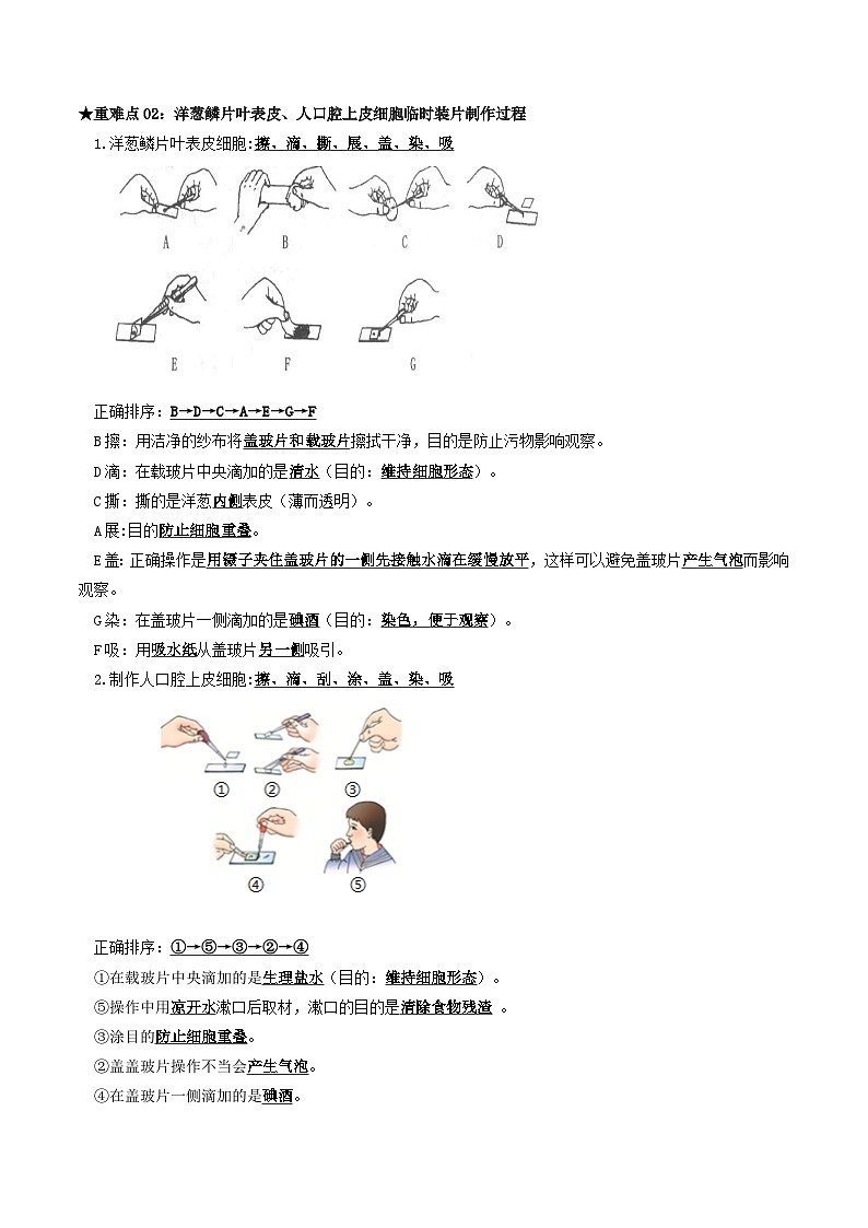 专题01 生物体的结构层次(原卷版)第2页