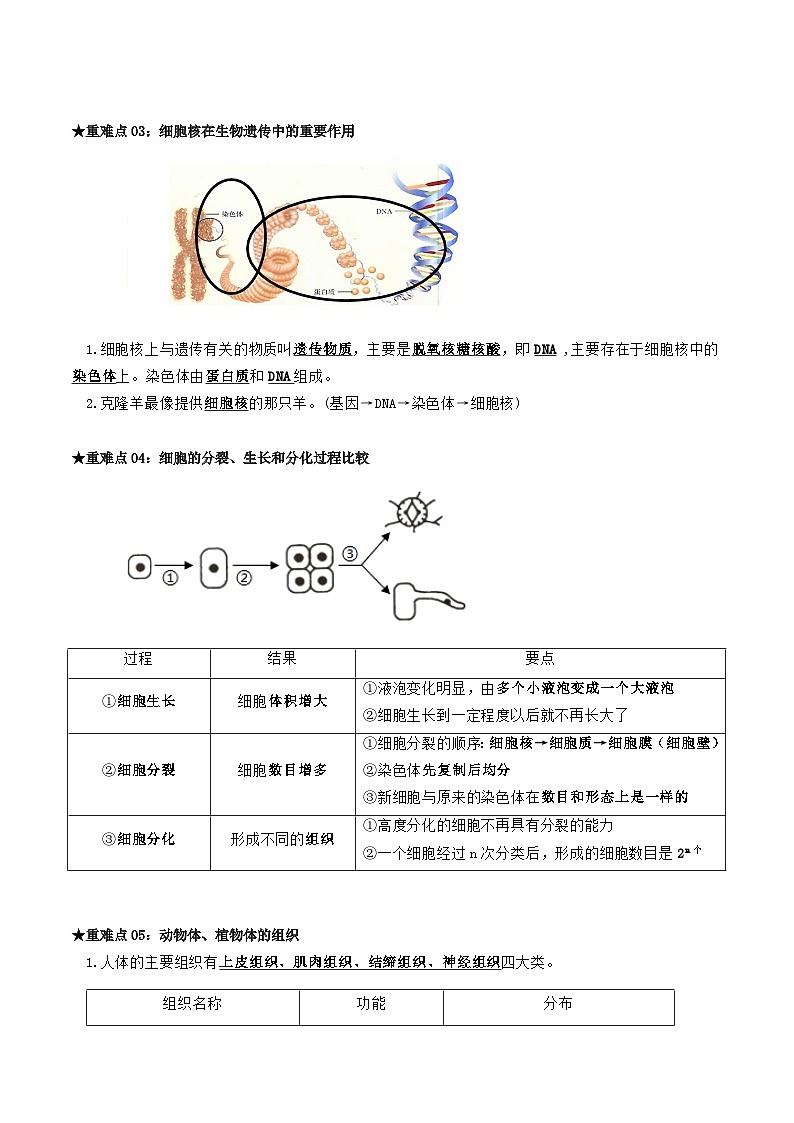 专题01 生物体的结构层次(原卷版)第3页
