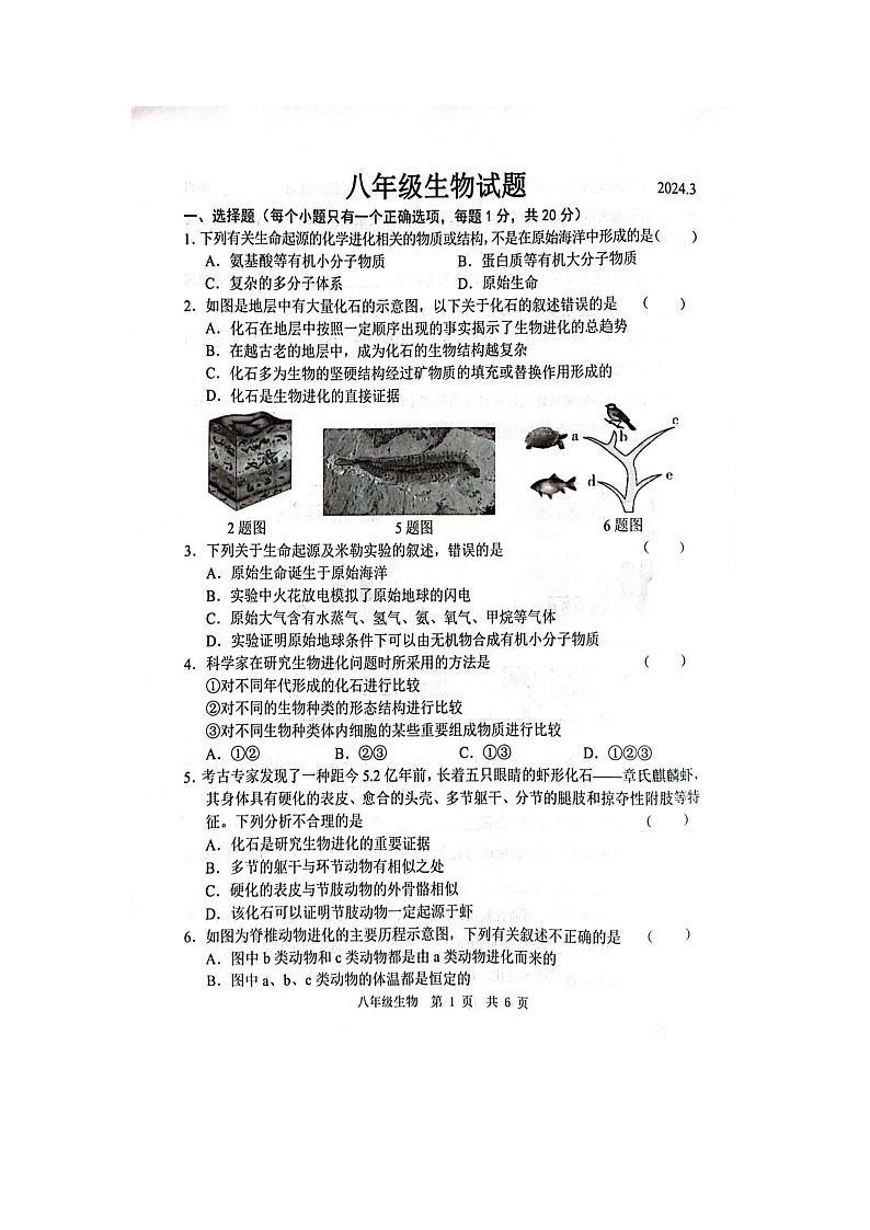 山東省菏澤市魯西新區(qū)2023-2024學(xué)年八年級(jí)下學(xué)期3月月考生物試題（圖片版無(wú)答案）第1頁(yè)