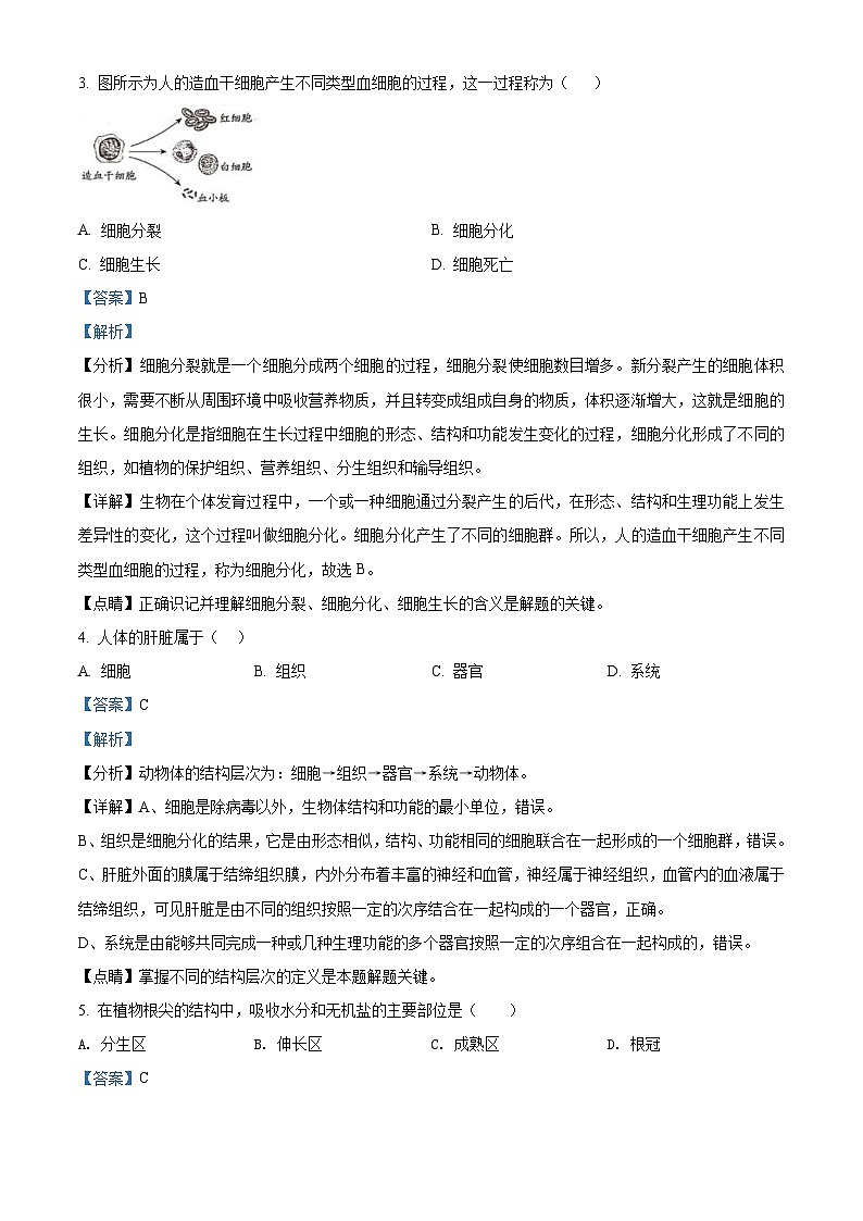 北京市2021年中考生物试题(含解析)02