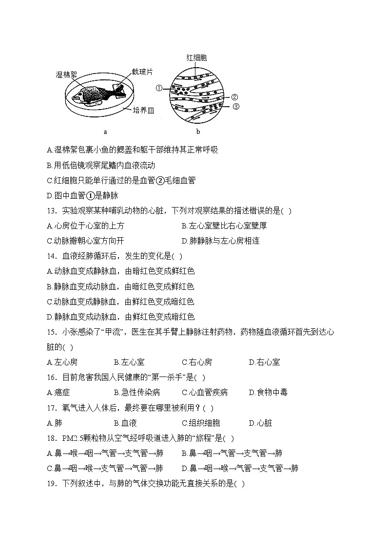 河北省承德市兴隆县2022-2023学年七年级下学期期中生物试卷(含答案)03