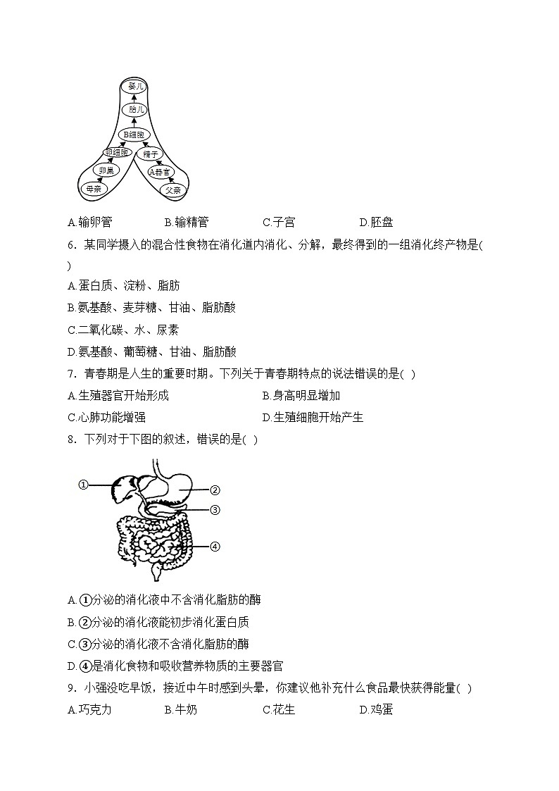 河北省石家庄市赵县2022-2023学年七年级下学期生物期中试卷(含答案)第2页