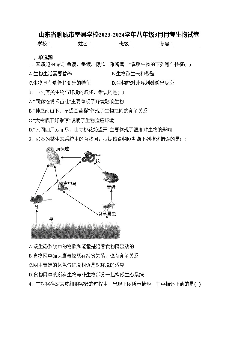 山东省聊城市莘县学校2023-2024学年八年级3月月考生物试卷(含答案)01