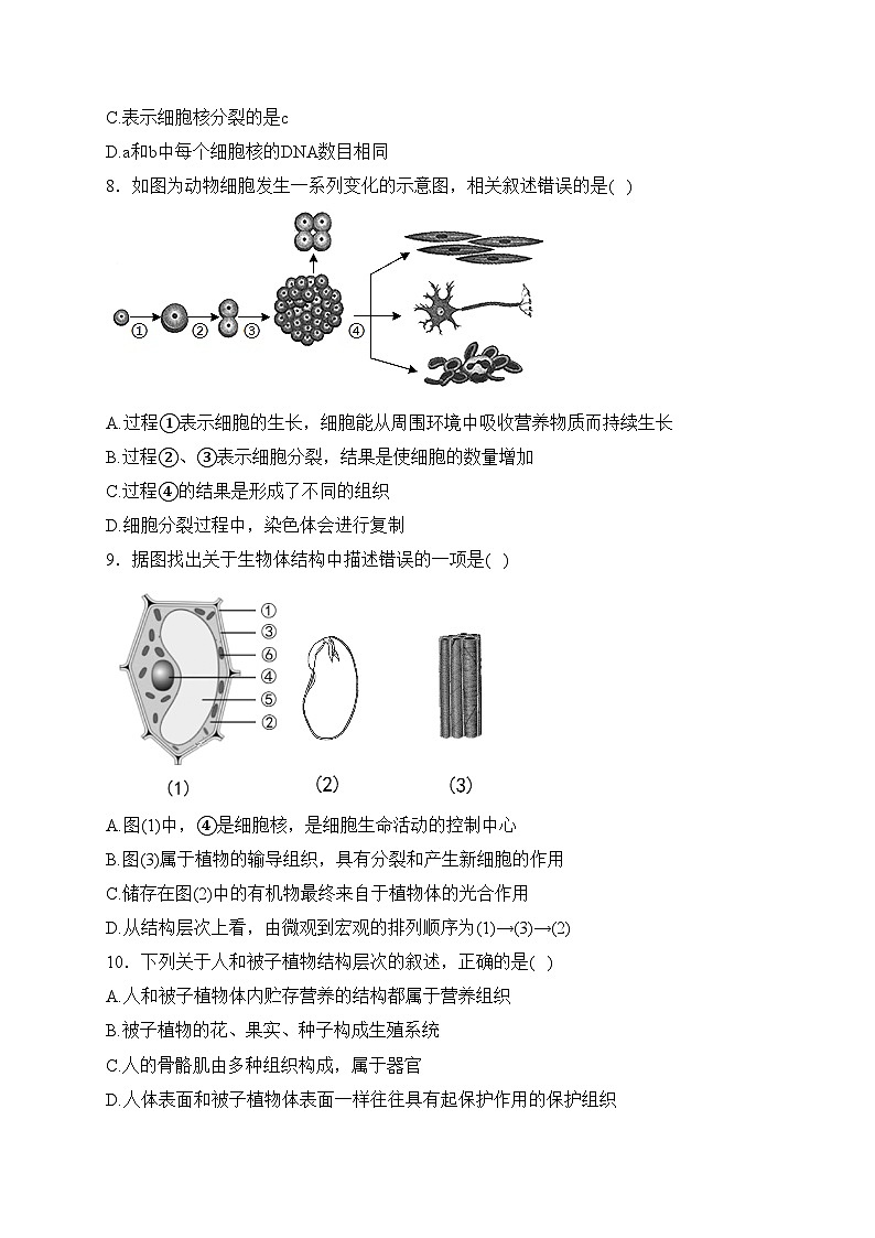山东省聊城市莘县学校2023-2024学年八年级3月月考生物试卷(含答案)03
