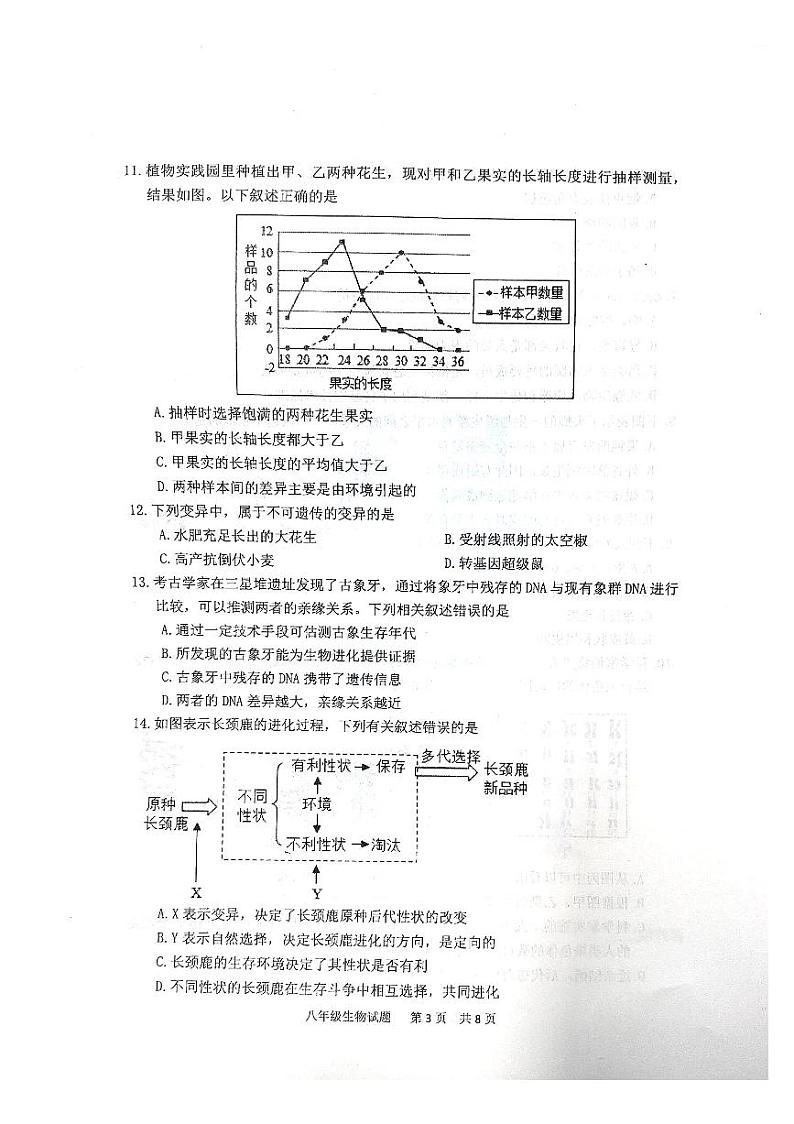 山东省泰安市宁阳县2023-2024学年八年级上学期期末考试生物学试题03