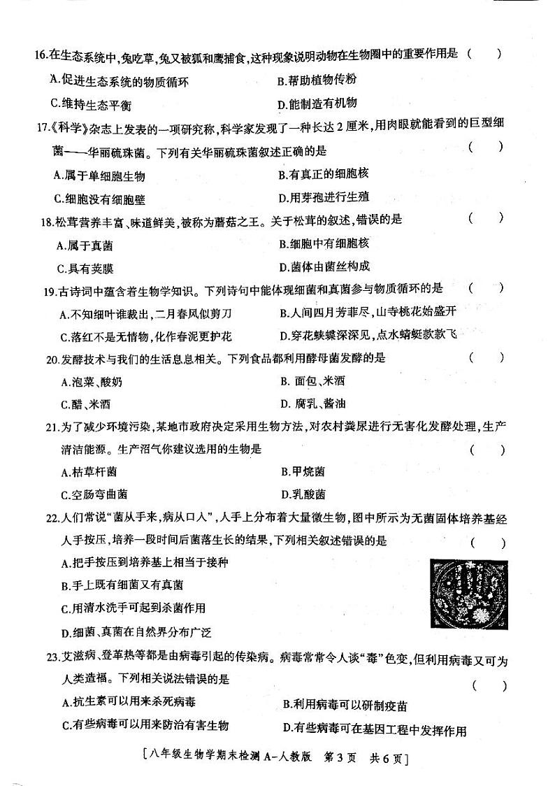 陕西省咸阳市永寿县蒿店中学2023-2024学年八年级上学期期末检测生物学试题第3页