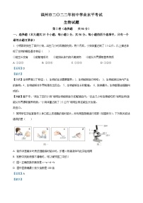 2022年山東省濱州市中考生物真題（含解析）