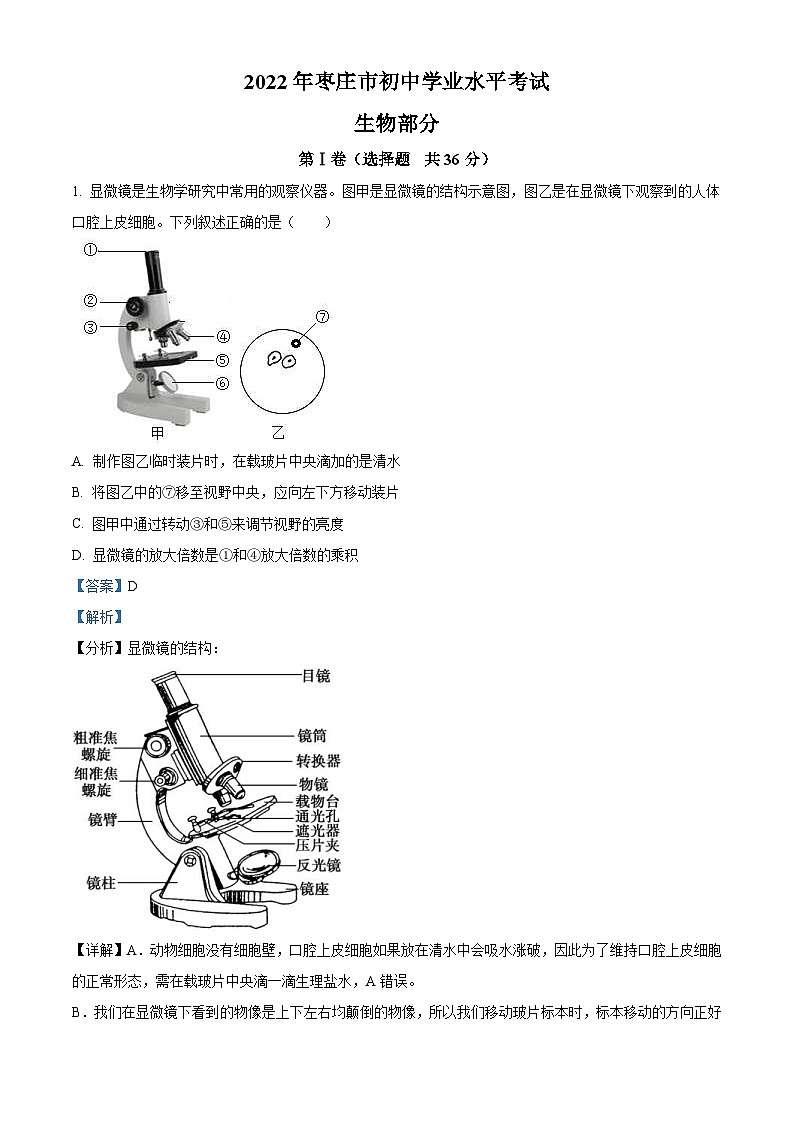 2022年山东省枣庄市中考生物真题(含解析)01