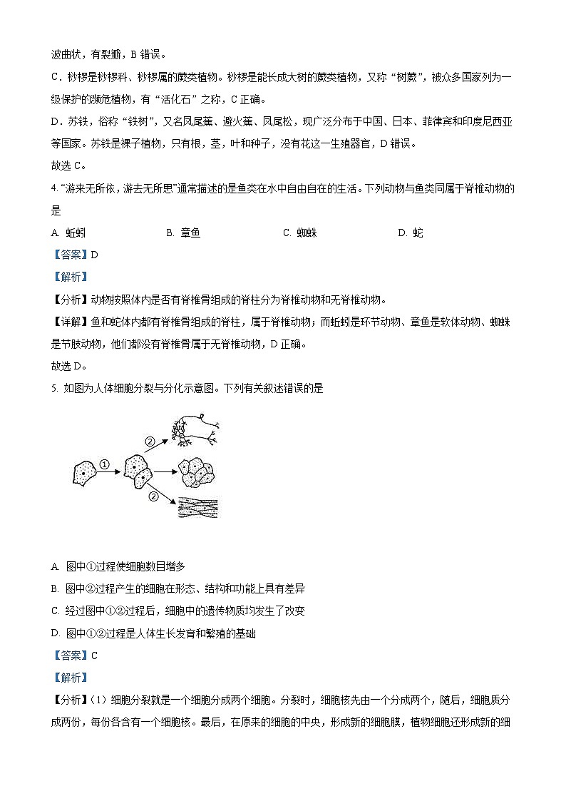 2022年四川省广安市中考生物真题(含解析)第2页
