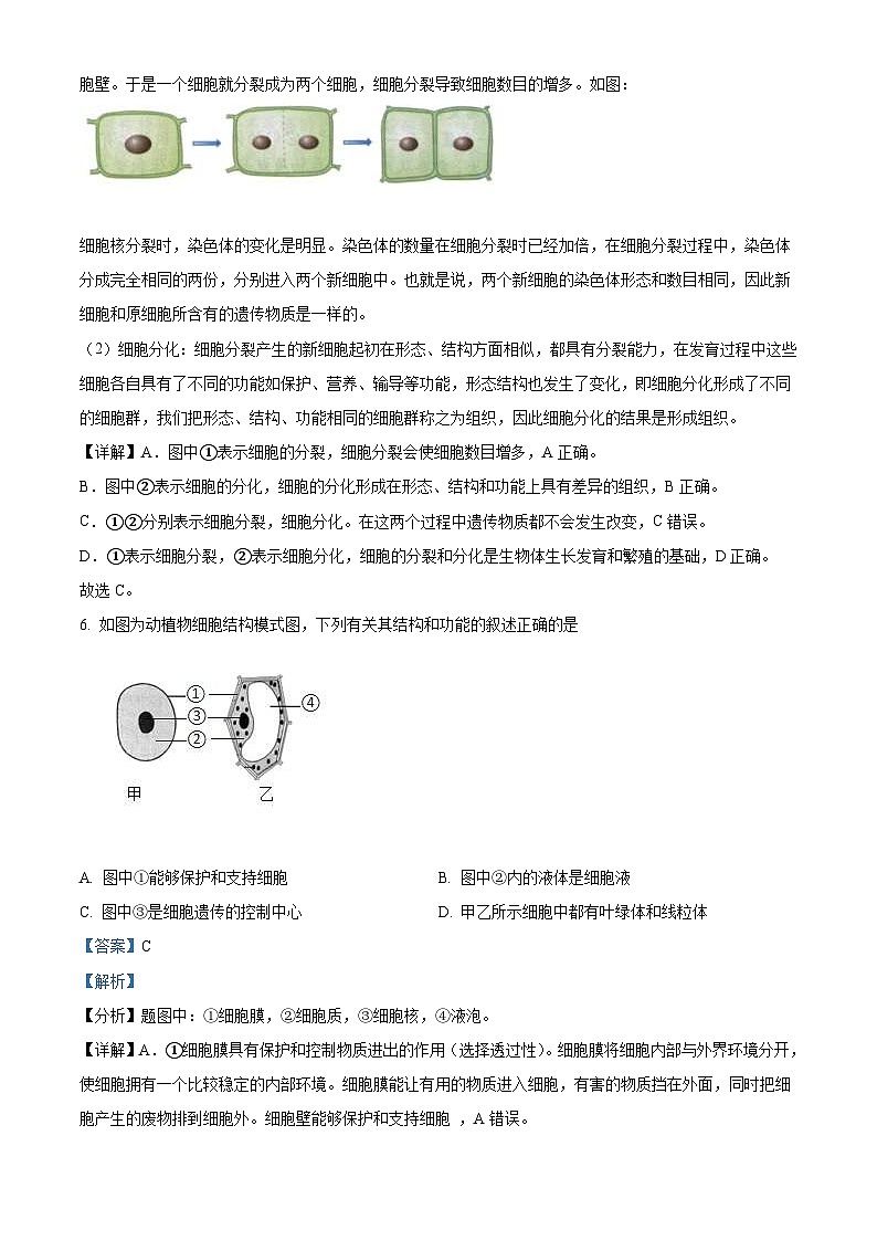 2022年四川省广安市中考生物真题(含解析)第3页