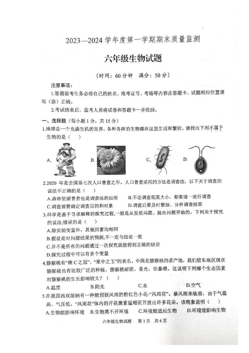 山东省泰安市宁阳县2023-2024学年六年级上学期期末考试生物学试题（无答案）01