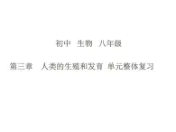 4.3++人类的生殖和发育++单元整体复习课件-2023-2024学年济南版生物八年级上册