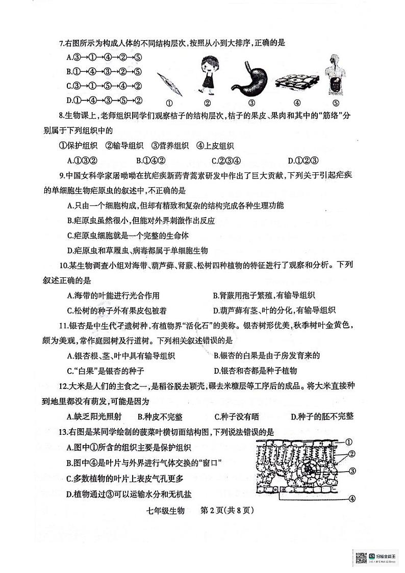 河南省焦作市温县2023-2024学年七年级上学期期末生物学试题第2页