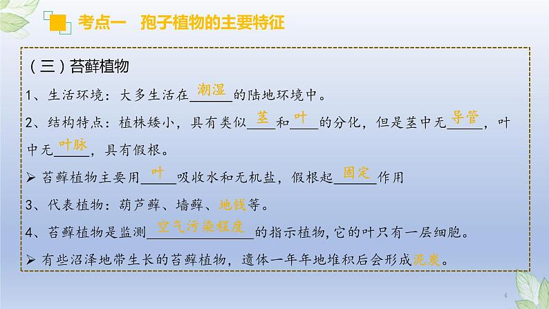 (通用版)中考生物一轮复习精讲课件专题04 生物圈中有哪些绿色植物(含答案)04
