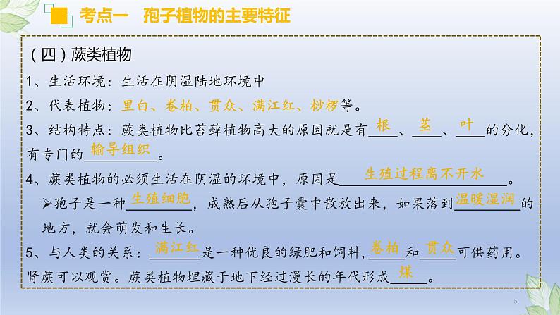 (通用版)中考生物一轮复习精讲课件专题04 生物圈中有哪些绿色植物(含答案)05