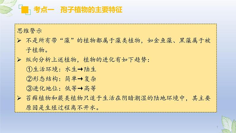 (通用版)中考生物一轮复习精讲课件专题04 生物圈中有哪些绿色植物(含答案)07