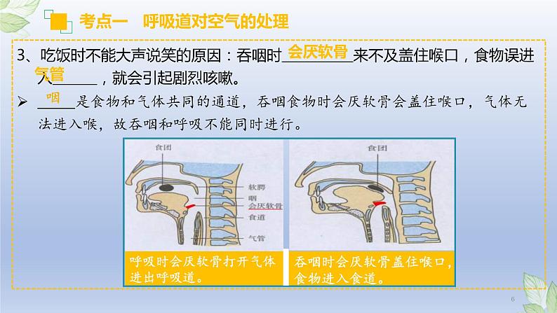 (通用版)中考生物一轮复习精讲课件专题11 人体的呼吸(含答案)第6页