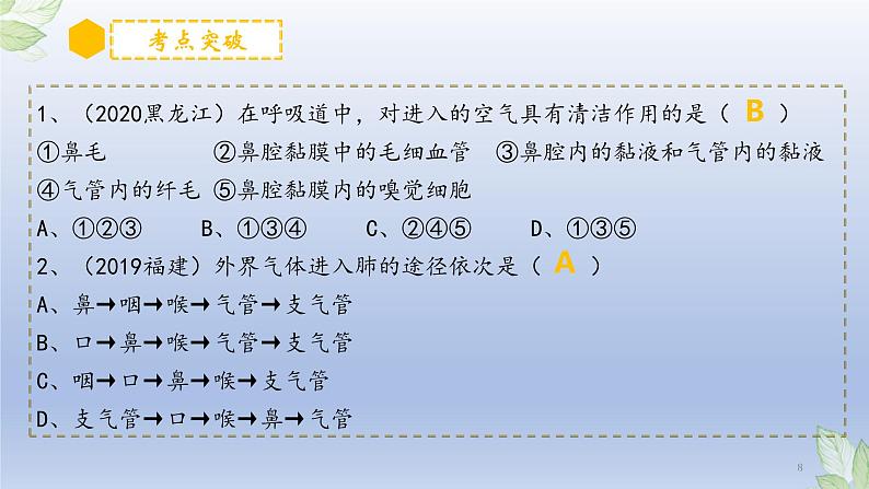 (通用版)中考生物一轮复习精讲课件专题11 人体的呼吸(含答案)第8页