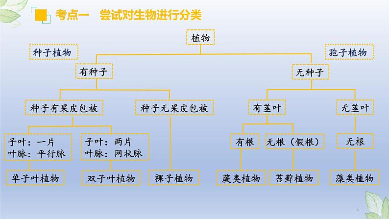 (通用版)中考生物一轮复习精讲课件专题18 生物的多样性及其保护(含答案)第5页