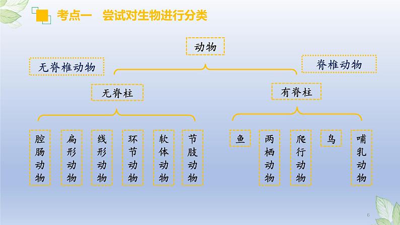 (通用版)中考生物一轮复习精讲课件专题18 生物的多样性及其保护(含答案)第6页