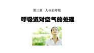 初中生物人教版 (新课标)七年级下册第四单元 生物圈中的人第三章 人体的呼吸第一节 呼吸道对空气的处理课前预习ppt课件