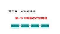 人教版 (新课标)七年级下册第一节 呼吸道对空气的处理图片课件ppt