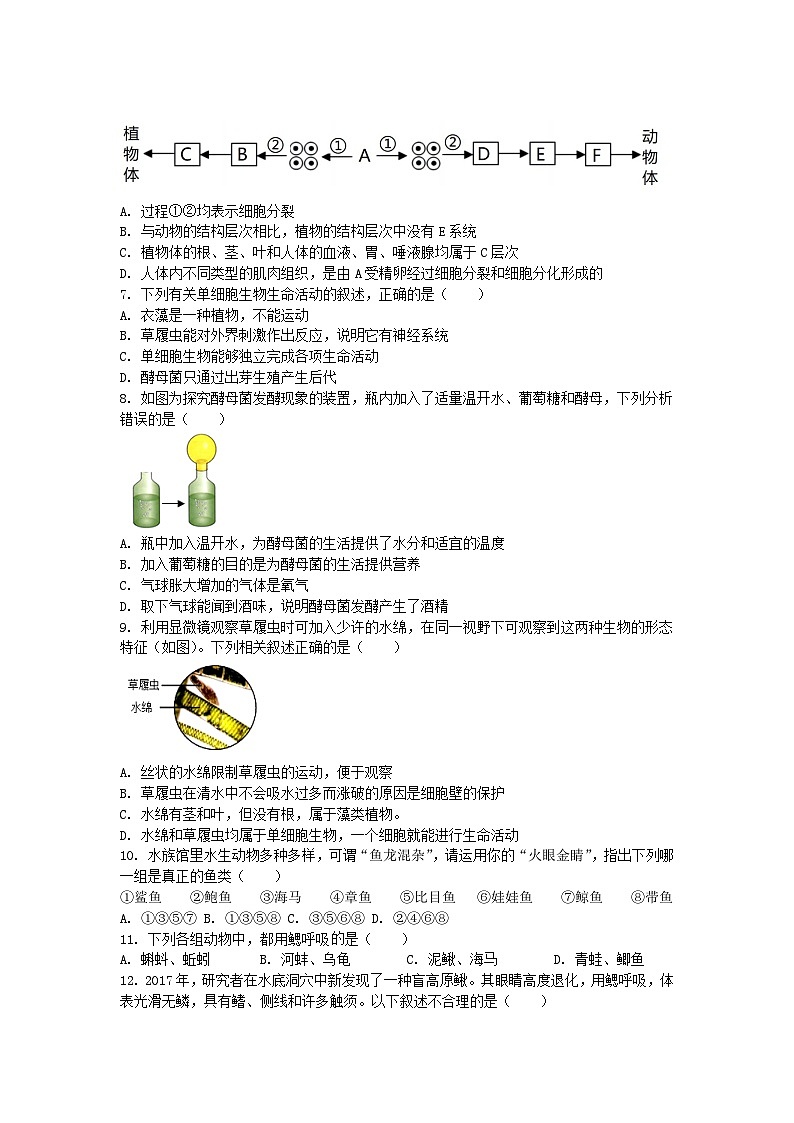 江苏省南通市平潮三校2023-2024学年七年级下学期第一次月考生物试卷第2页
