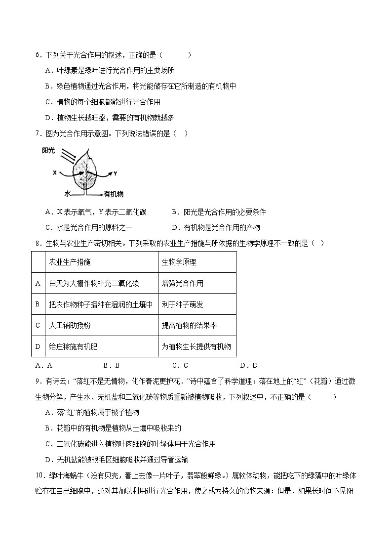 专题07 绿色植物的光合作用(原卷版)第2页