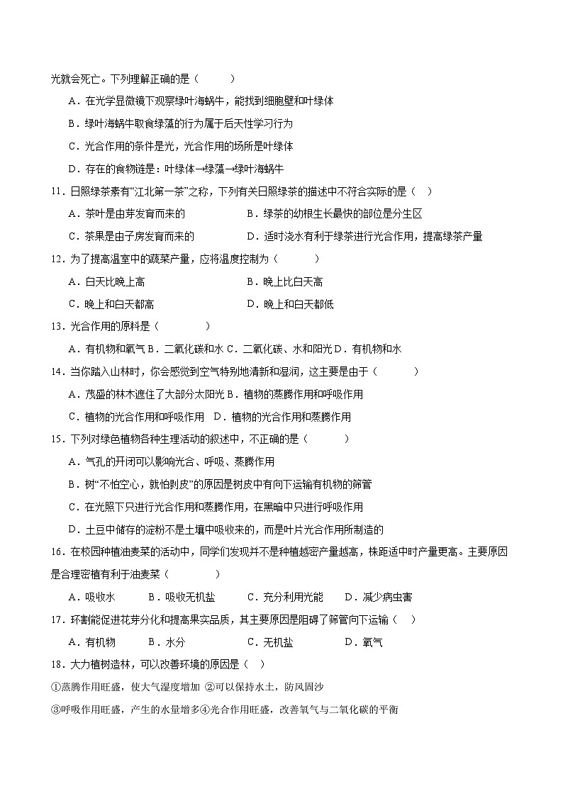 专题07 绿色植物的光合作用(原卷版)第3页