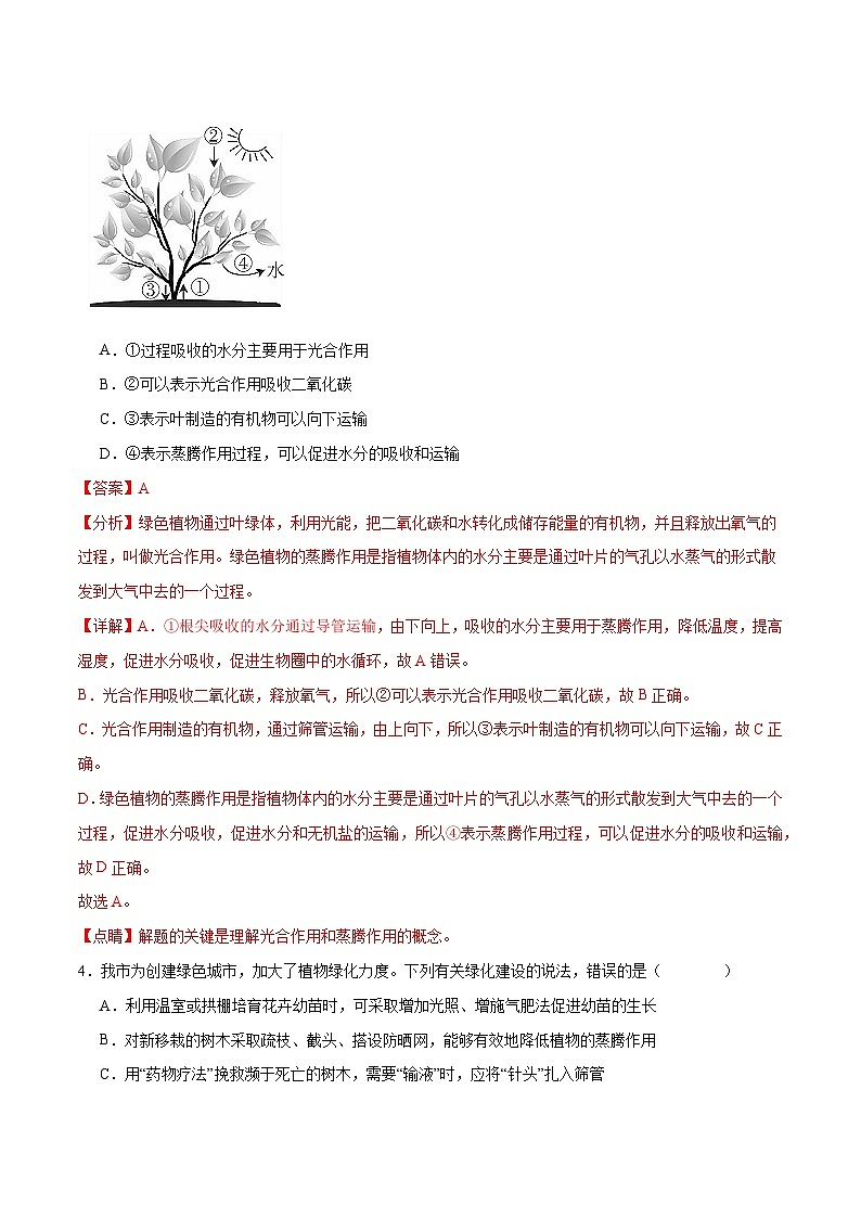 专题07 绿色植物的光合作用(解析版)第2页