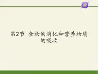 北师大版七年级下册第2节 食物的消化和营养物质的吸收教课课件ppt