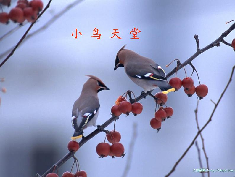 北师大版生物七年级下册 第14章 第1节 人类活动对生物圈的影响(10)(课件)05