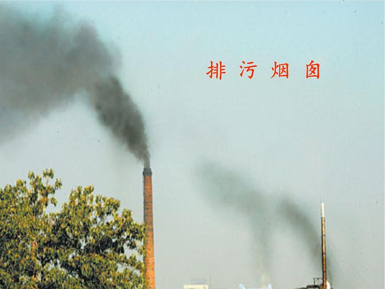 北师大版生物七年级下册 第14章 第1节 人类活动对生物圈的影响(10)(课件)08