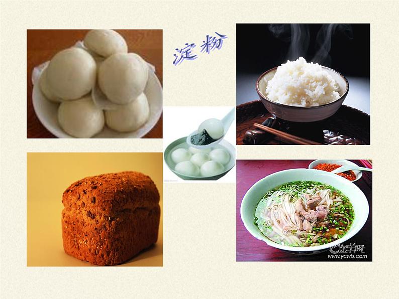 北师大版生物七年级下册 第8章 第1节 人类的食物(5)(课件)第3页